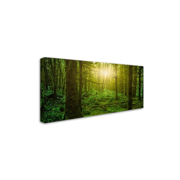 Moises Levy 'Dream Forest 3' Canvas Art,12x24